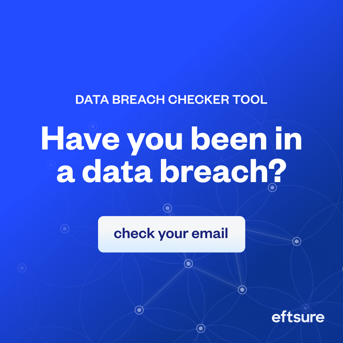 Eftsure Email Data Breach Checking Tool